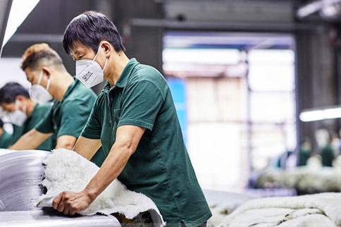 Mature & Established Supply Chain